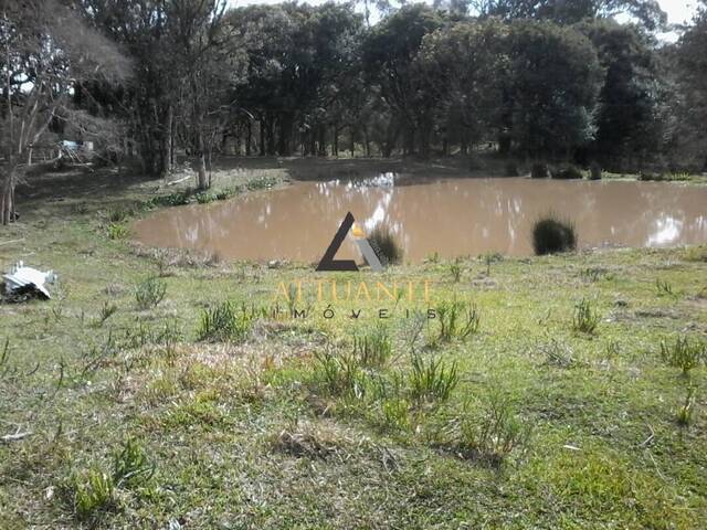 Terreno para Venda em Caxias do Sul - 5