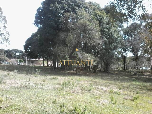 #TR0567 - Terreno para Venda em Caxias do Sul - RS - 1