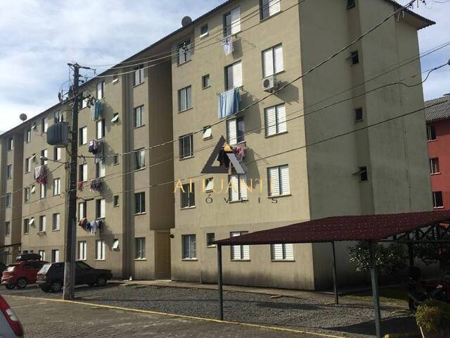 Apartamento para Venda em Caxias do Sul - 2