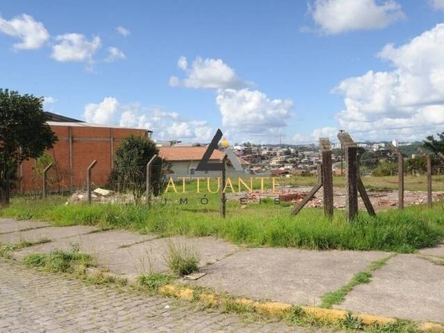 Área para Venda em Caxias do Sul - 5