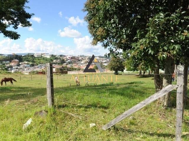 Área para Venda em Caxias do Sul - 4