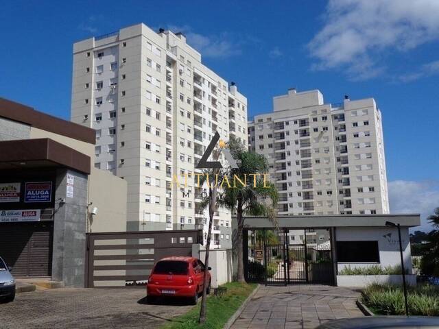 Apartamento para Venda em Caxias do Sul - 2
