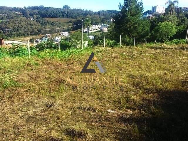 Terreno para Venda em Caxias do Sul - 2