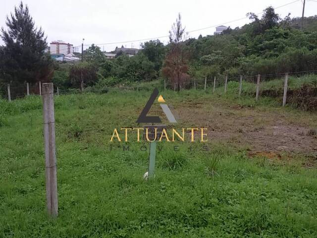 Terreno para Venda em Caxias do Sul - 3