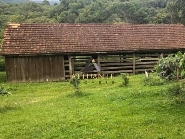 Chácara para Venda em Caxias do Sul - 4