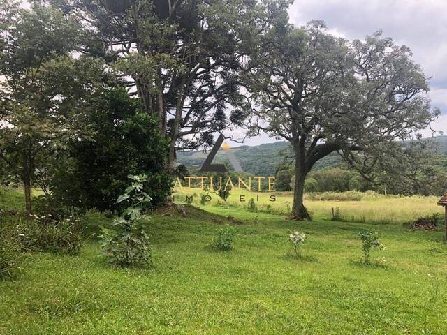 Chácara para Venda em Caxias do Sul - 2
