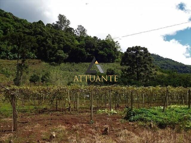 #CH1023 - Chácara para Venda em Caxias do Sul - RS