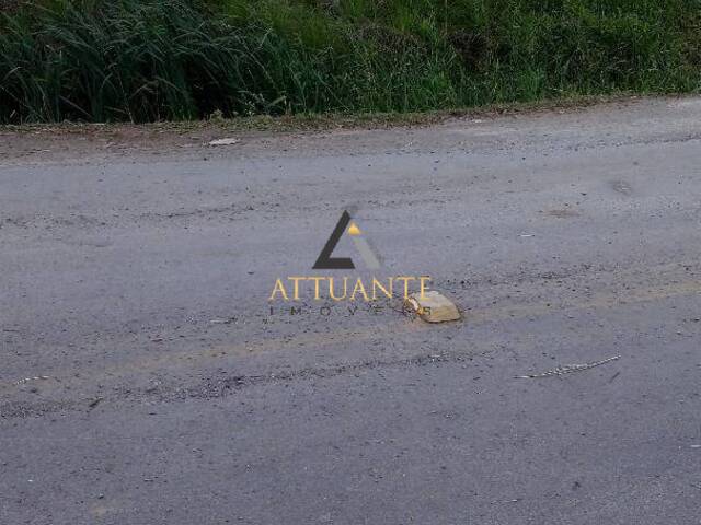 #TR1070 - Chácara para Venda em Caxias do Sul - RS