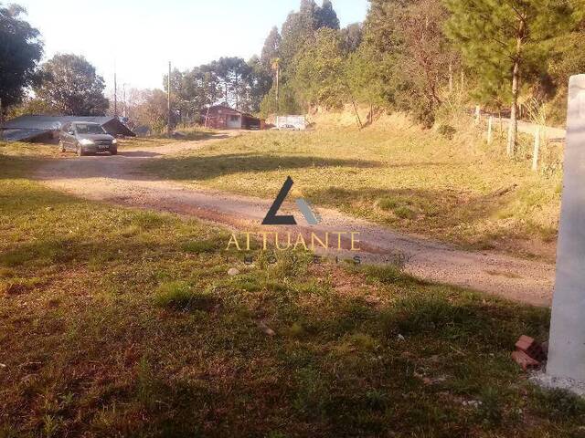 #TR1070 - Chácara para Venda em Caxias do Sul - RS