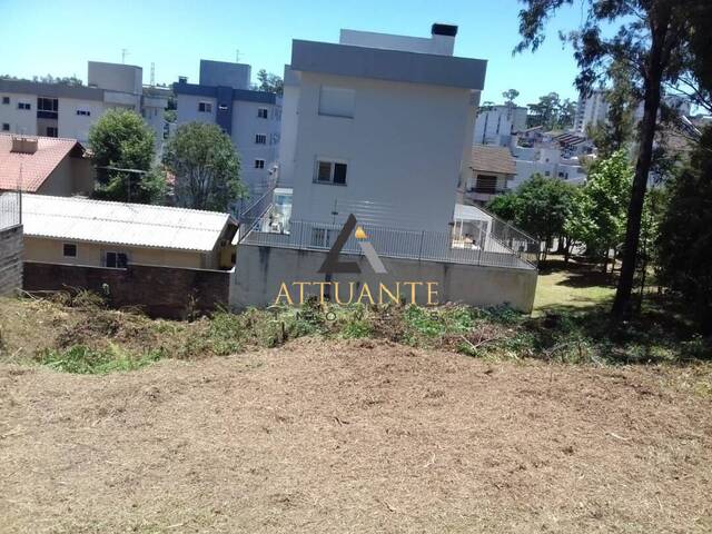 Terreno para Venda em Caxias do Sul - 2