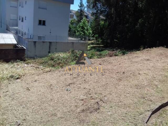 Terreno para Venda em Caxias do Sul - 4