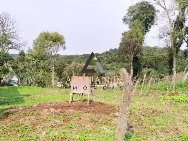 Área para Venda em Caxias do Sul - 4
