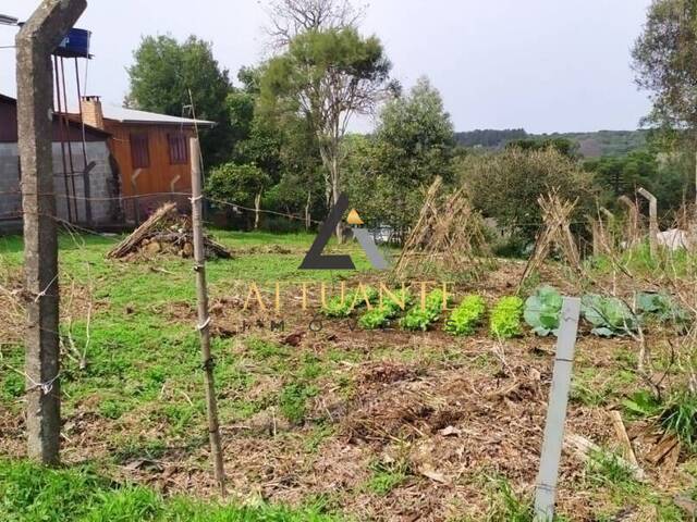 Área para Venda em Caxias do Sul - 5