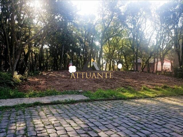 #TR1121 - Terreno para Venda em Caxias do Sul - RS - 2