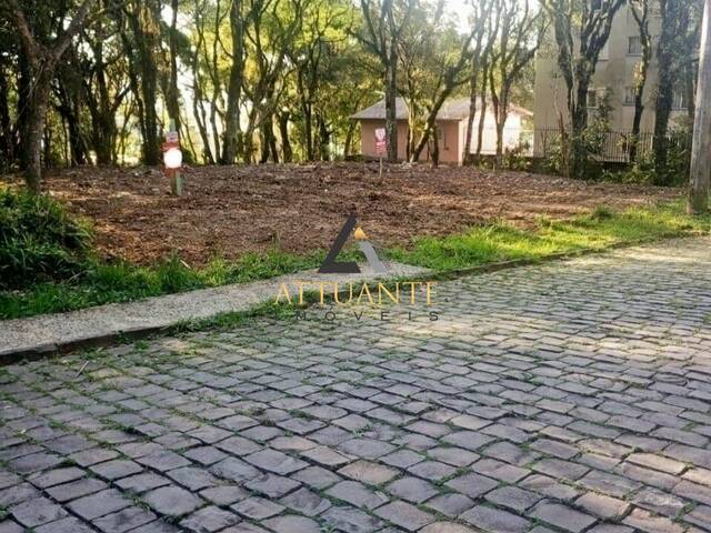 Terreno para Venda em Caxias do Sul - 5