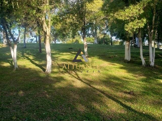 Terreno para Venda em Caxias do Sul - 2