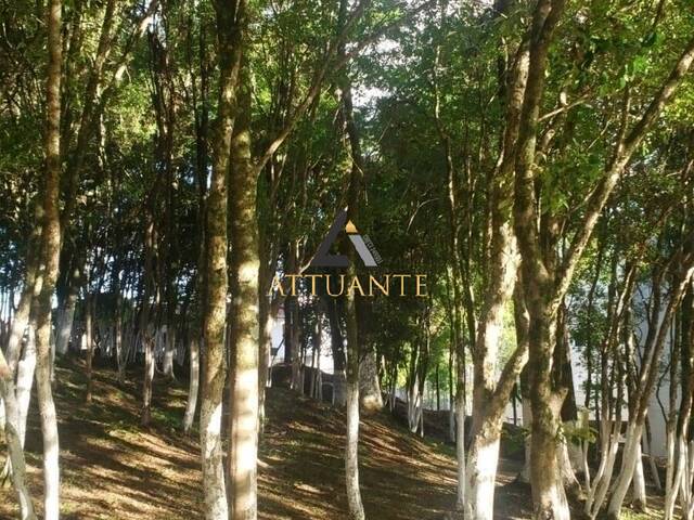Terreno para Venda em Caxias do Sul - 4
