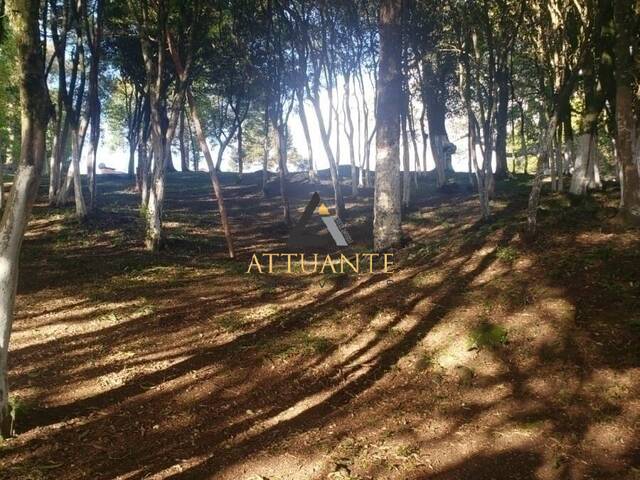 Terreno para Venda em Caxias do Sul - 5