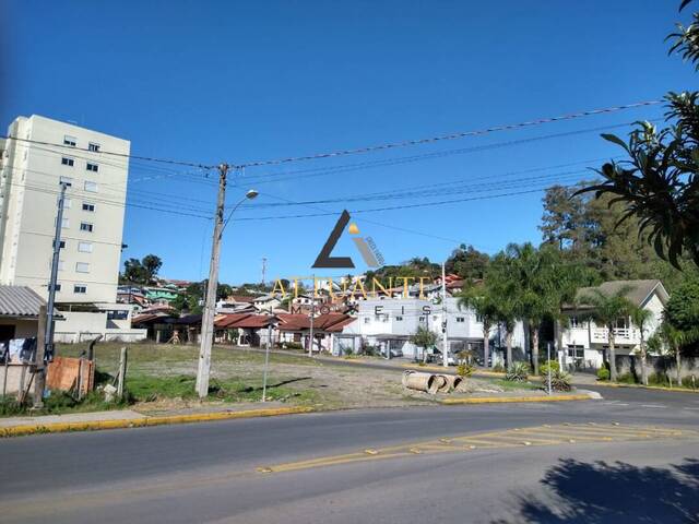Terreno para Venda em Caxias do Sul - 4