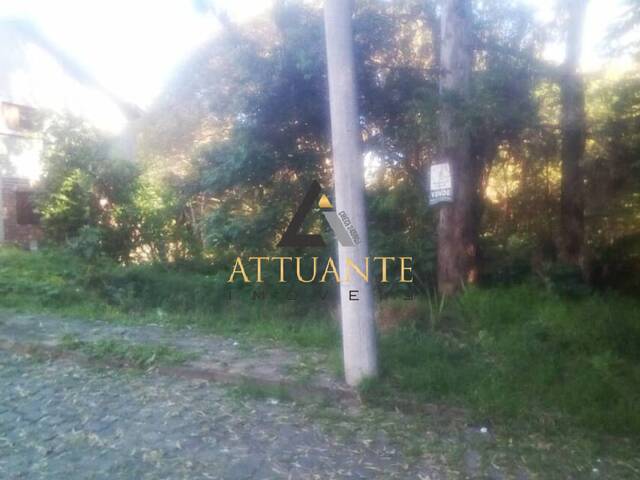Terreno para Venda em Caxias do Sul - 2