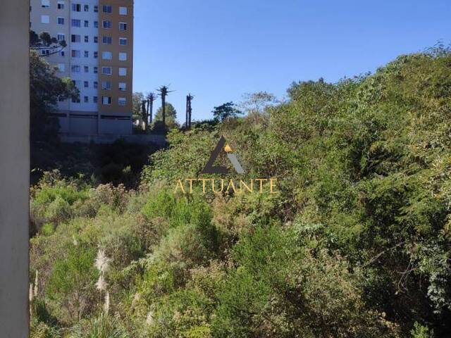 Apartamento para Venda em Caxias do Sul - 2