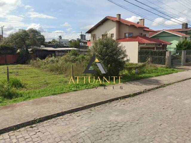 Terreno para Venda em Caxias do Sul - 2