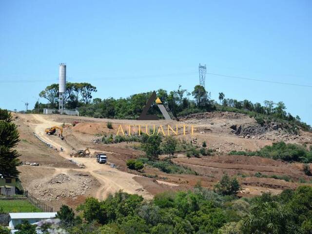 Terreno para Venda em Caxias do Sul - 4
