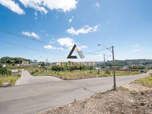 #TR1037 - Terreno para Venda em Caxias do Sul - RS - 3