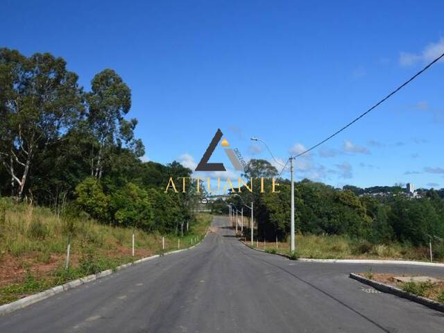 #TR1035 - Terreno para Venda em Caxias do Sul - RS - 3