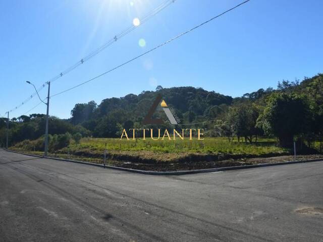 Terreno para Venda em Caxias do Sul - 4
