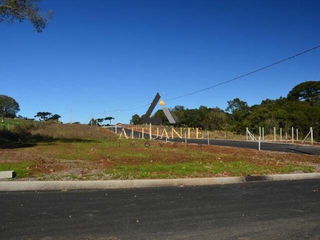Terreno para Venda em Caxias do Sul - 5