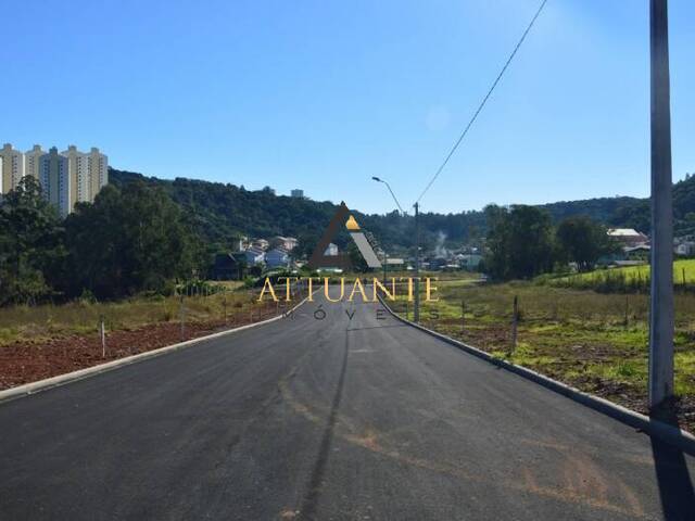 Terreno para Venda em Caxias do Sul - 3