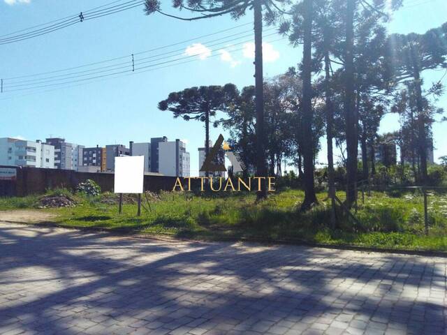#TR1249 - Terreno para Venda em Caxias do Sul - RS - 1
