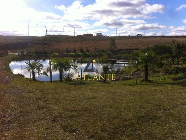Chácara para Venda em Caxias do Sul - 3