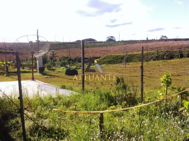 Chácara para Venda em Caxias do Sul - 5