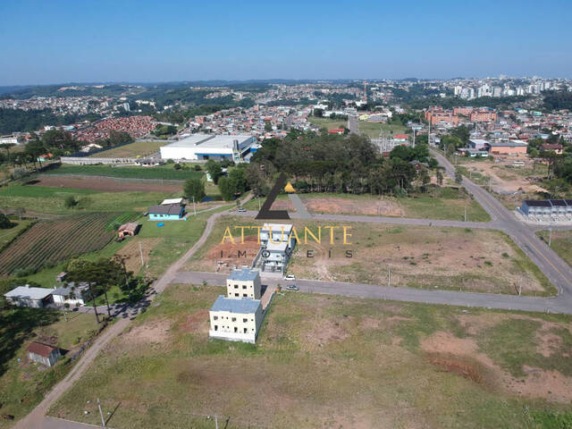 Terreno para Venda em Caxias do Sul - 3