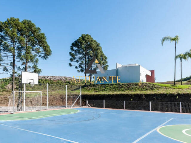 Terreno para Venda em Caxias do Sul - 4