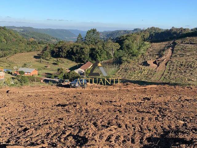 Terreno para Venda em Caxias do Sul - 3