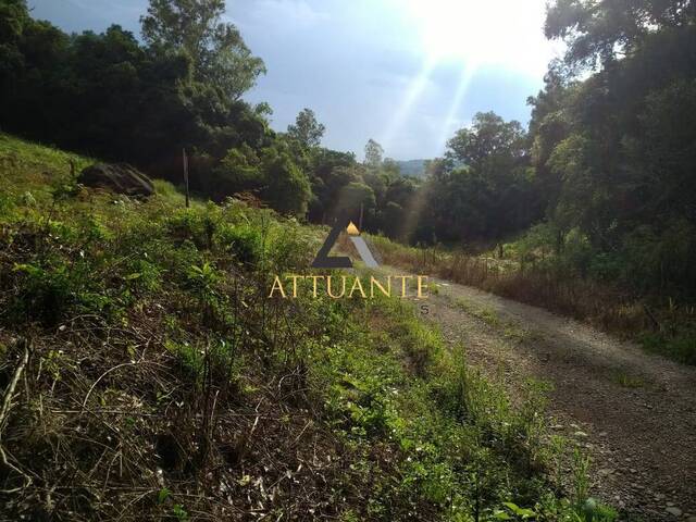 Terreno para Venda em Caxias do Sul - 2