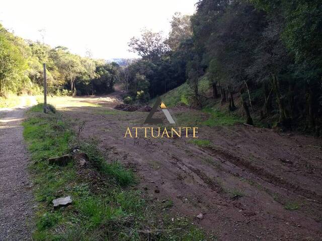 Terreno para Venda em Caxias do Sul - 3