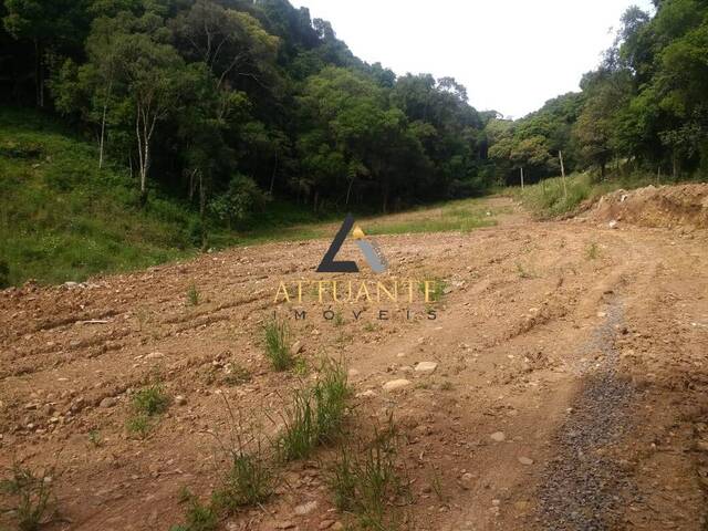 Terreno para Venda em Caxias do Sul - 5