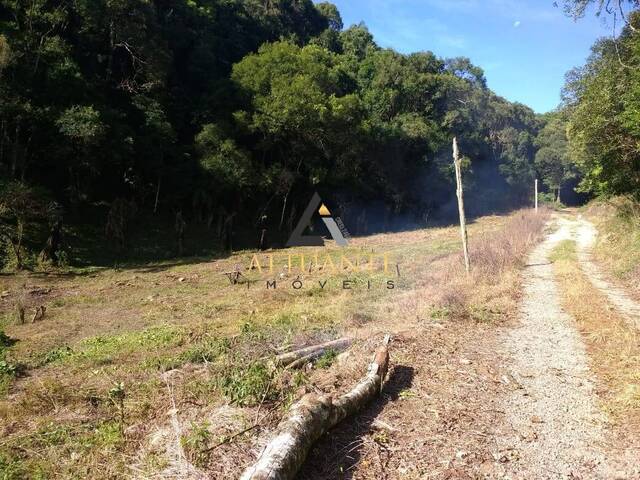 Terreno para Venda em Caxias do Sul - 4