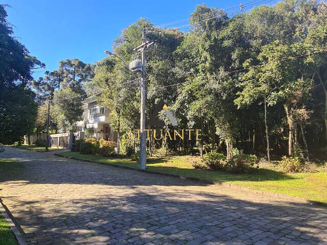Terreno para Venda em Caxias do Sul - 2
