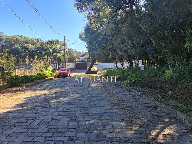 Terreno para Venda em Caxias do Sul - 3