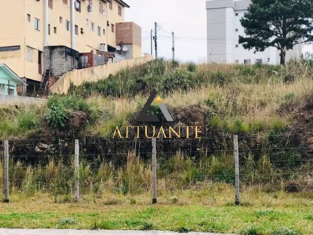 Terreno para Venda em Caxias do Sul - 4
