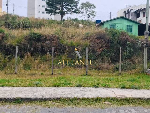 Terreno para Venda em Caxias do Sul - 2