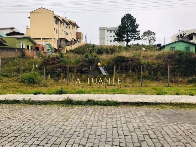 Terreno para Venda em Caxias do Sul - 3