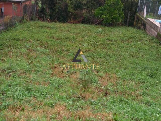 Terreno para Venda em Caxias do Sul - 3