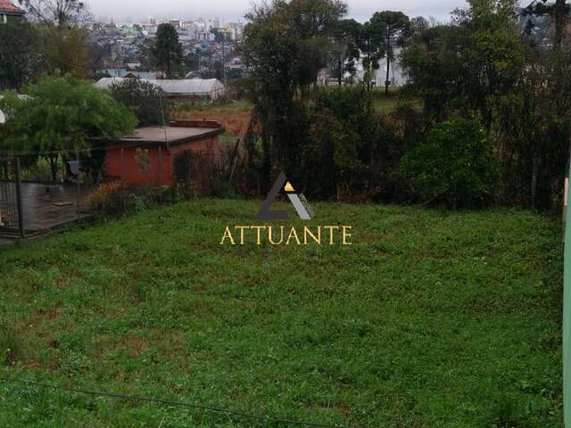 Terreno para Venda em Caxias do Sul - 2