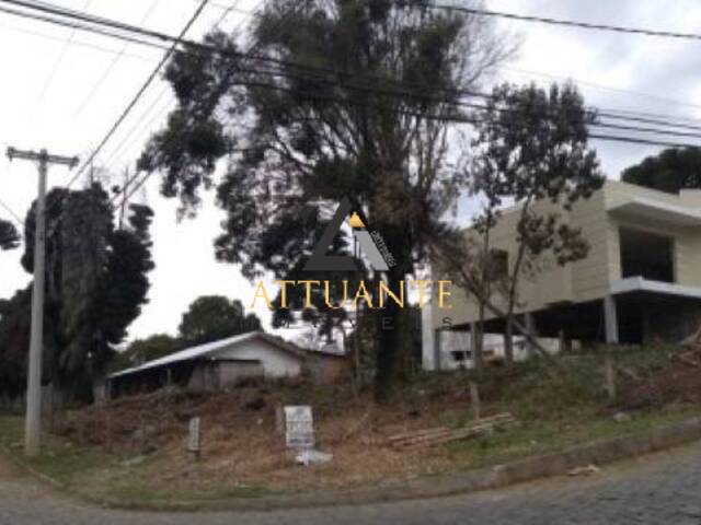 Terreno para Venda em Caxias do Sul - 2